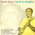 Muddy Waters - Top of the Boogaloo